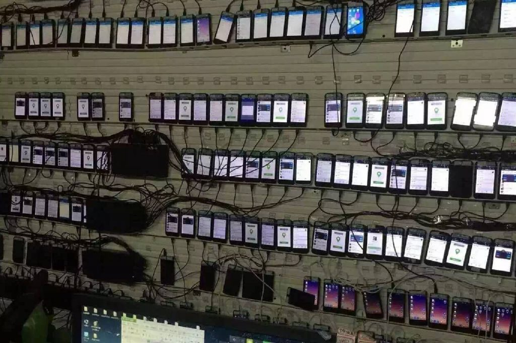 Fraud farm set up