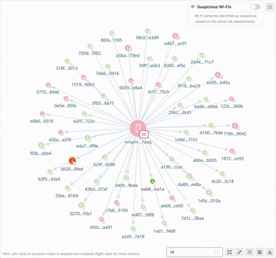 Network Graph
