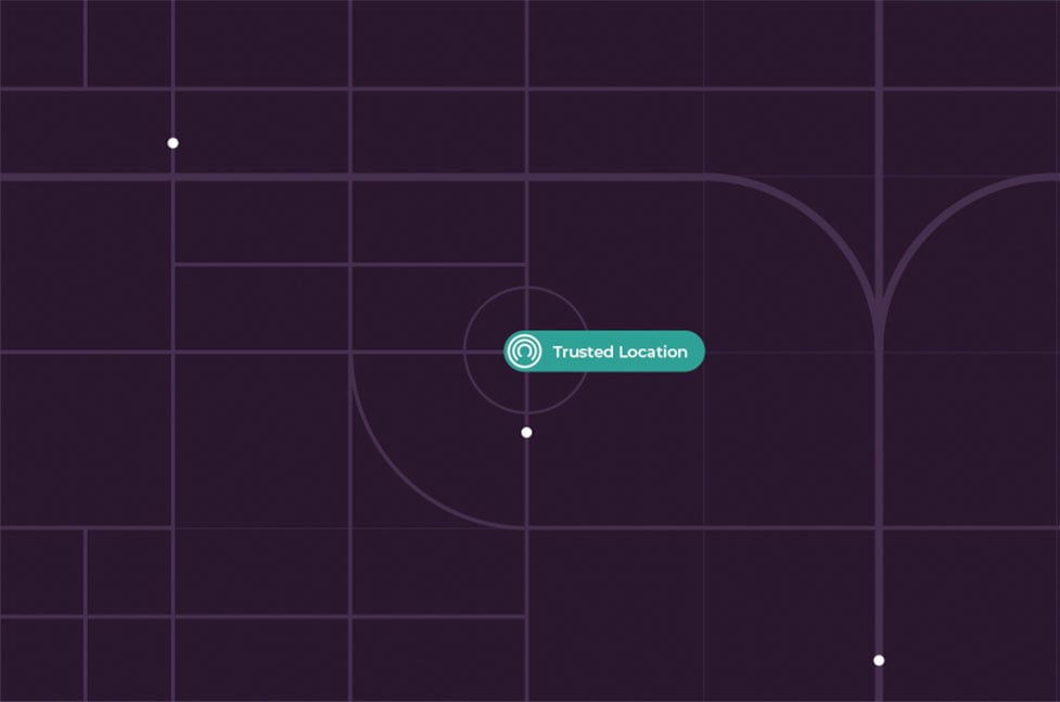 Incognia Map Texture