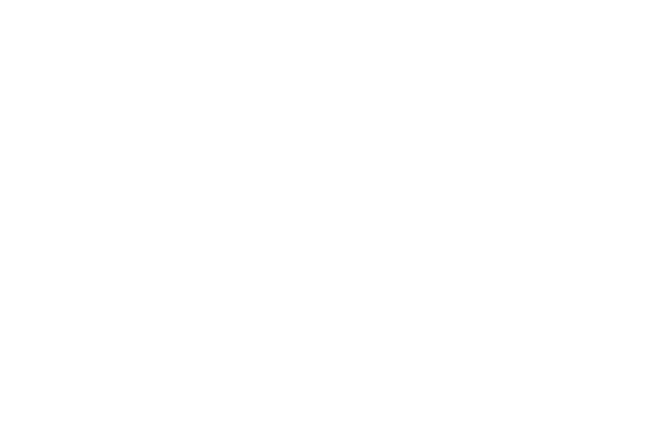 Banco Pan Logo