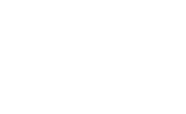 Stone Logo