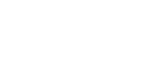 serasa experian logo