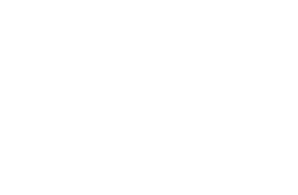 Banco Pan Logo