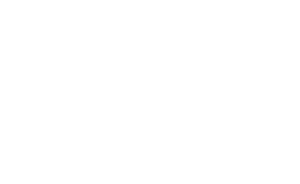 Stone Logo