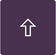 icon-conversion_surge-lt 1