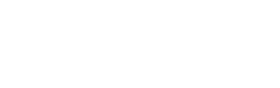 turbi logo
